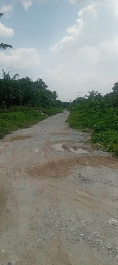 TANAH BESAR MUKIM KAPAR UNTUK DIJUAL!!️  Kg Perepat | Geran Individu•Status Pertanian •Leasehold 99 tahun (hingga 2104)  - Image 2