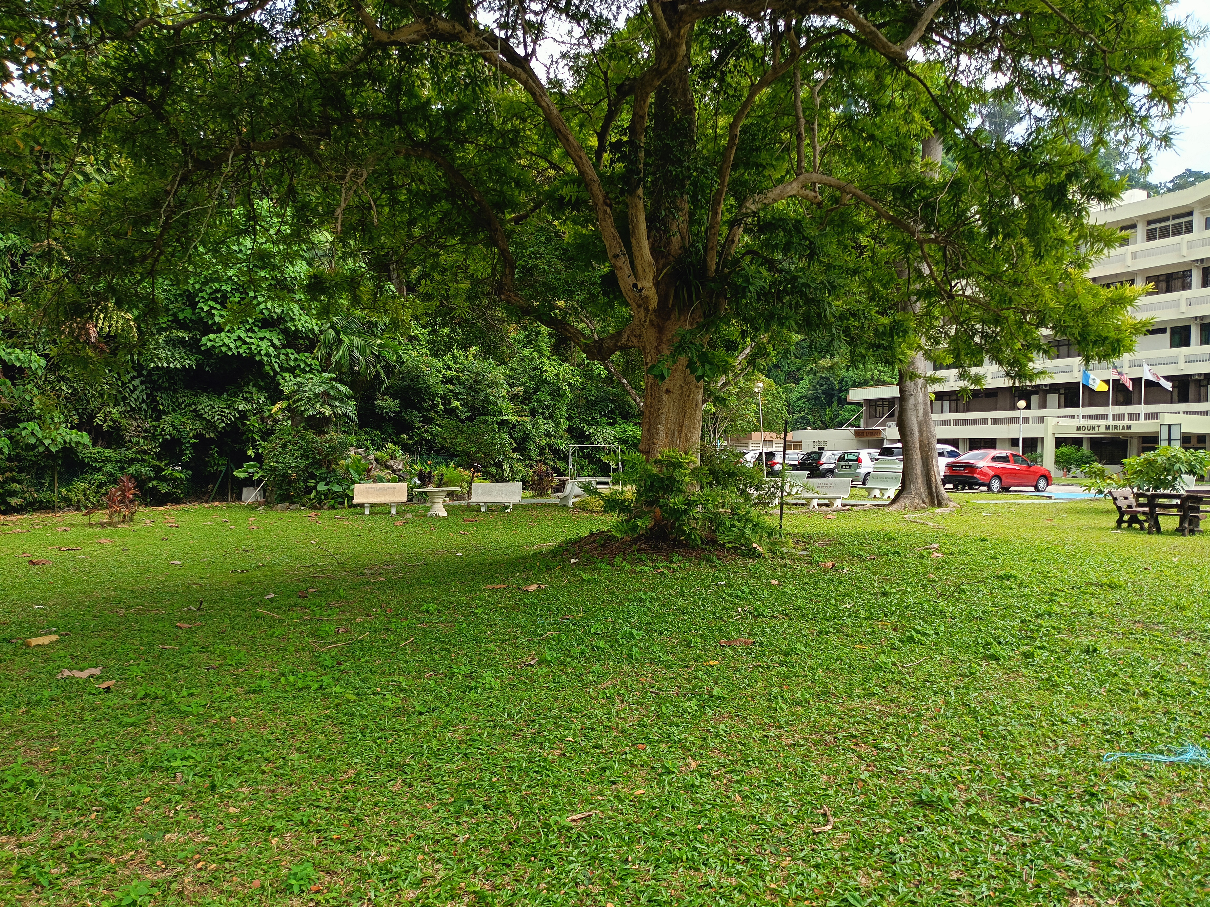 2 storey semi detached House near Mount Miriam at Tanjung Tokong Penang  - Image 3