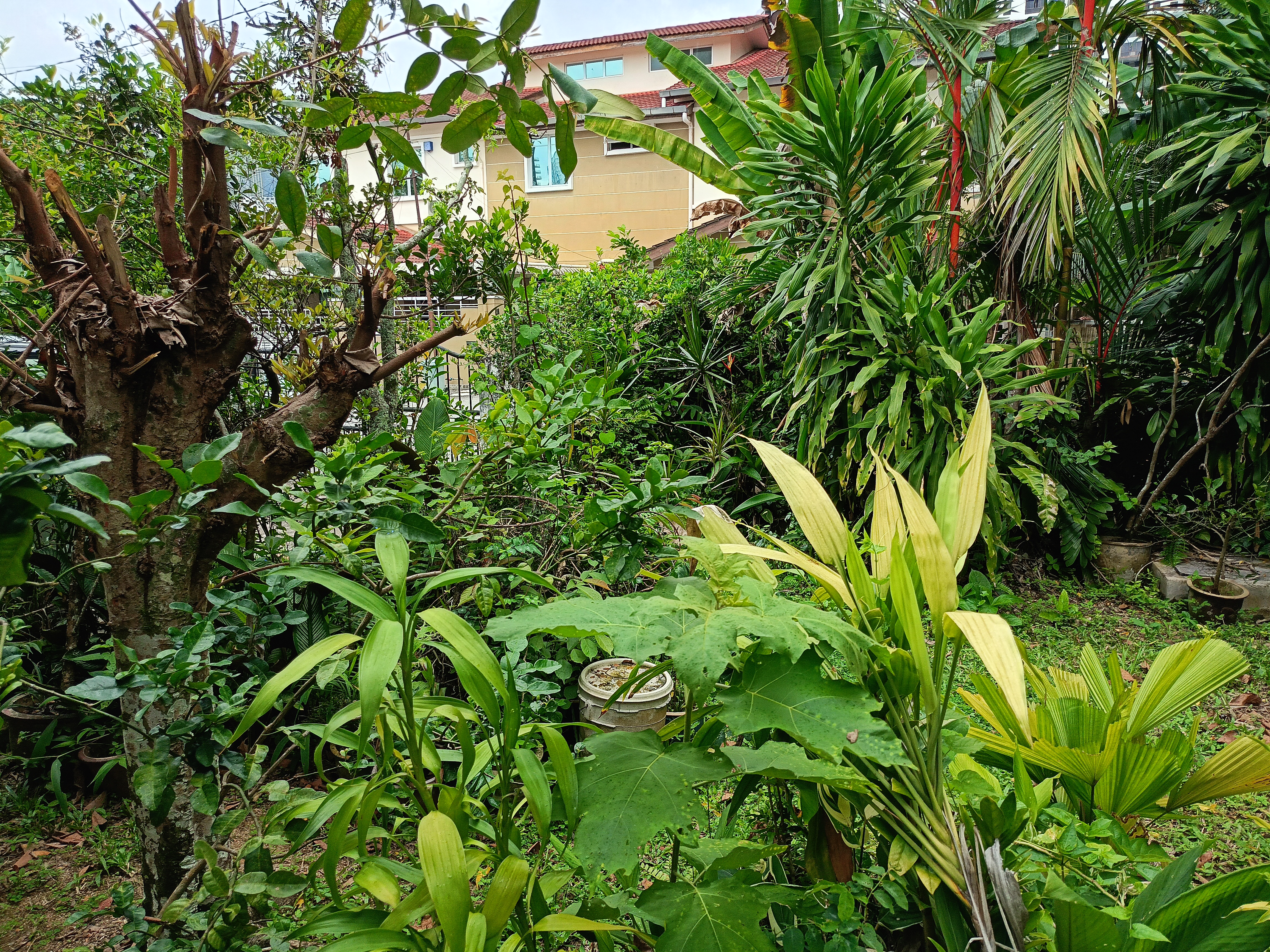 2 storey semi detached House near Mount Miriam at Tanjung Tokong Penang  - Image 6