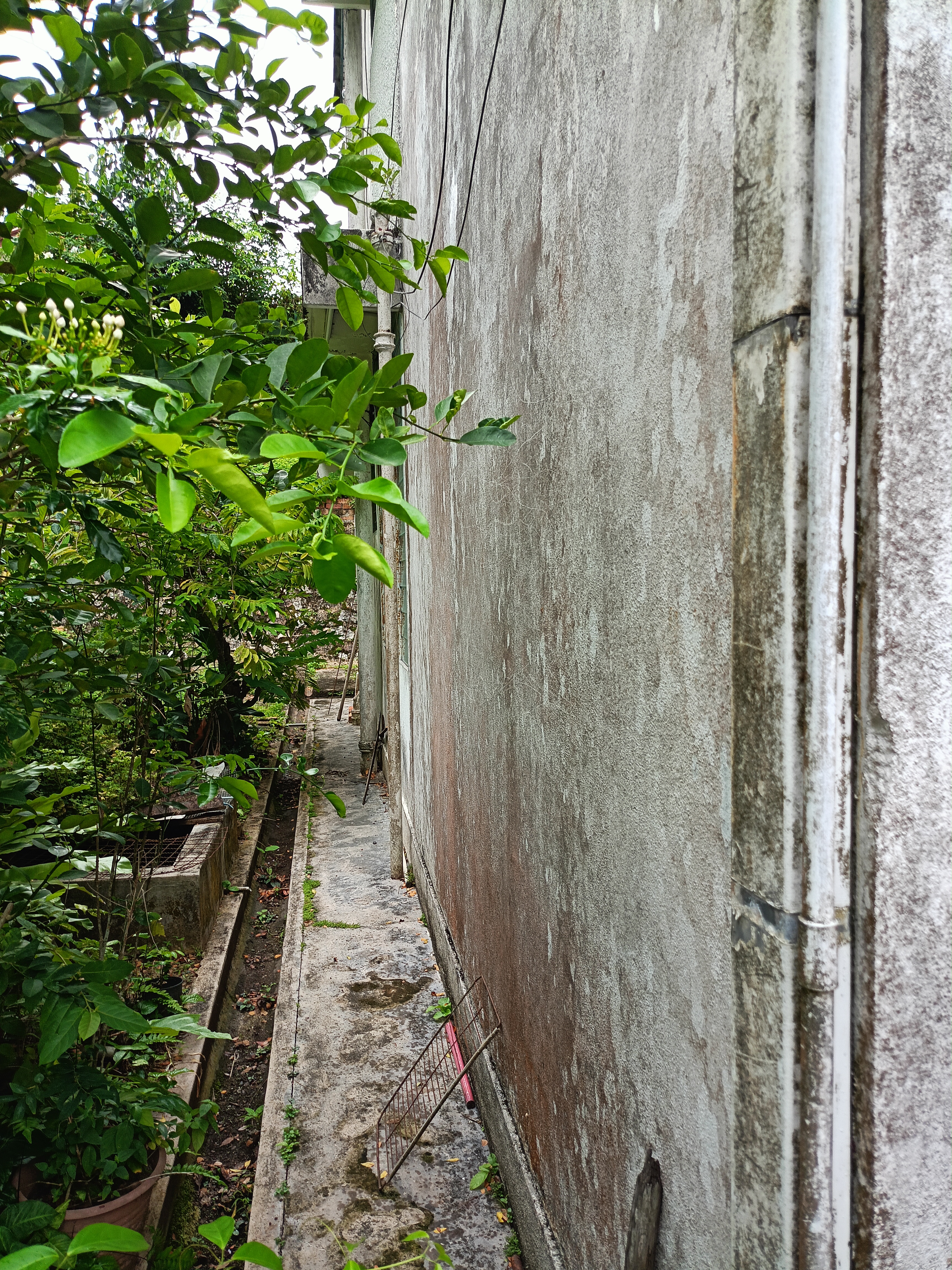 2 storey semi detached House near Mount Miriam at Tanjung Tokong Penang  - Image 7