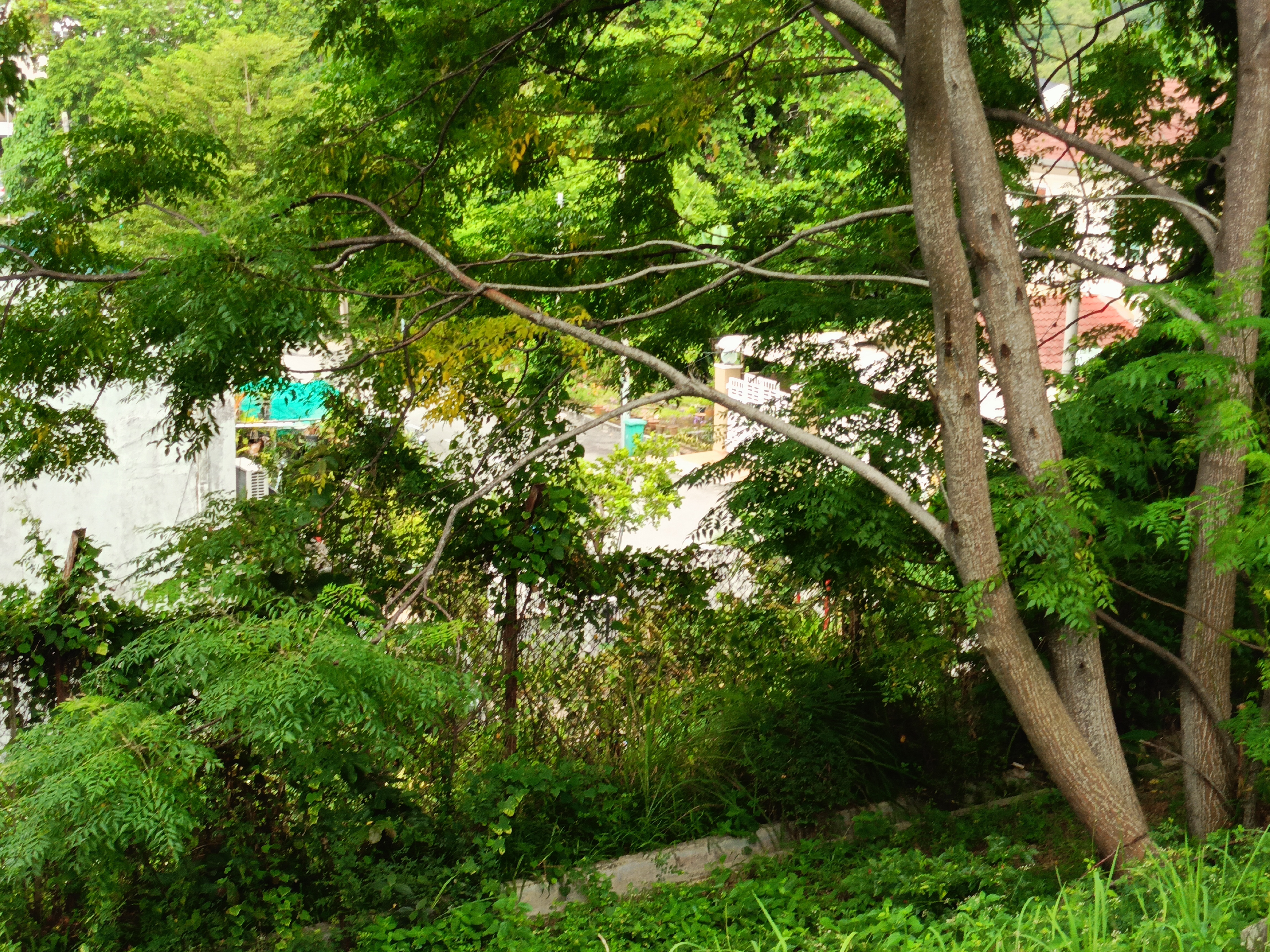 2 storey semi detached House near Mount Miriam at Tanjung Tokong Penang  - Image 4