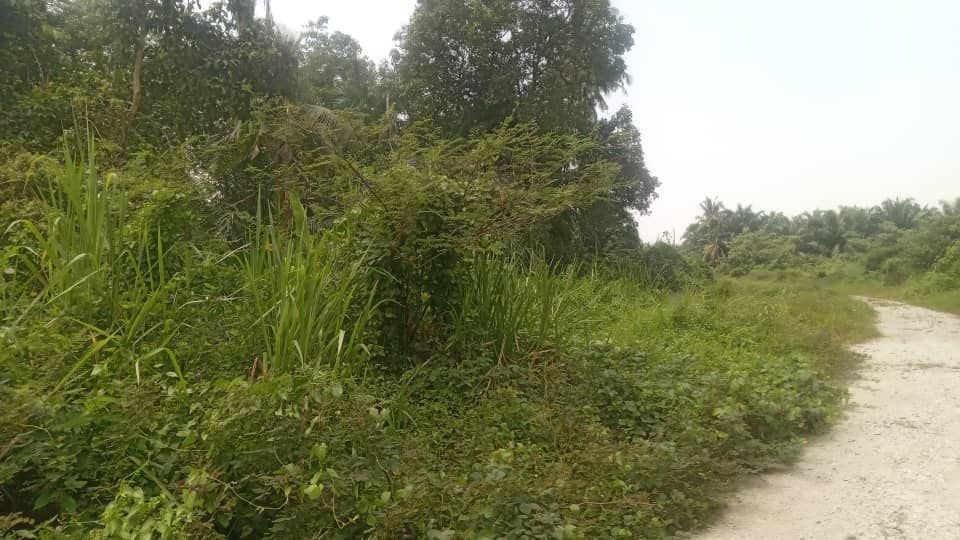 TANAH BESAR MUKIM KAPAR UNTUK DIJUAL‼️ - Image 3