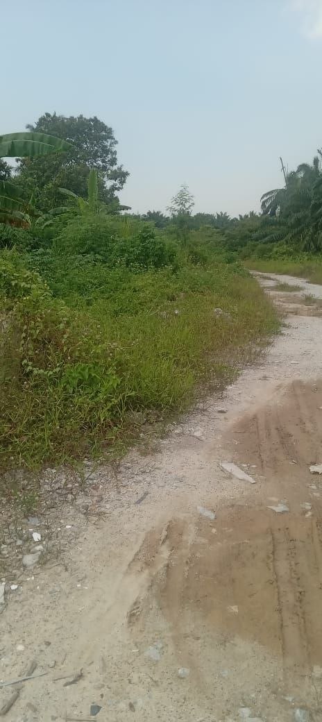 TANAH BESAR MUKIM KAPAR UNTUK DIJUAL‼️ - Image 4