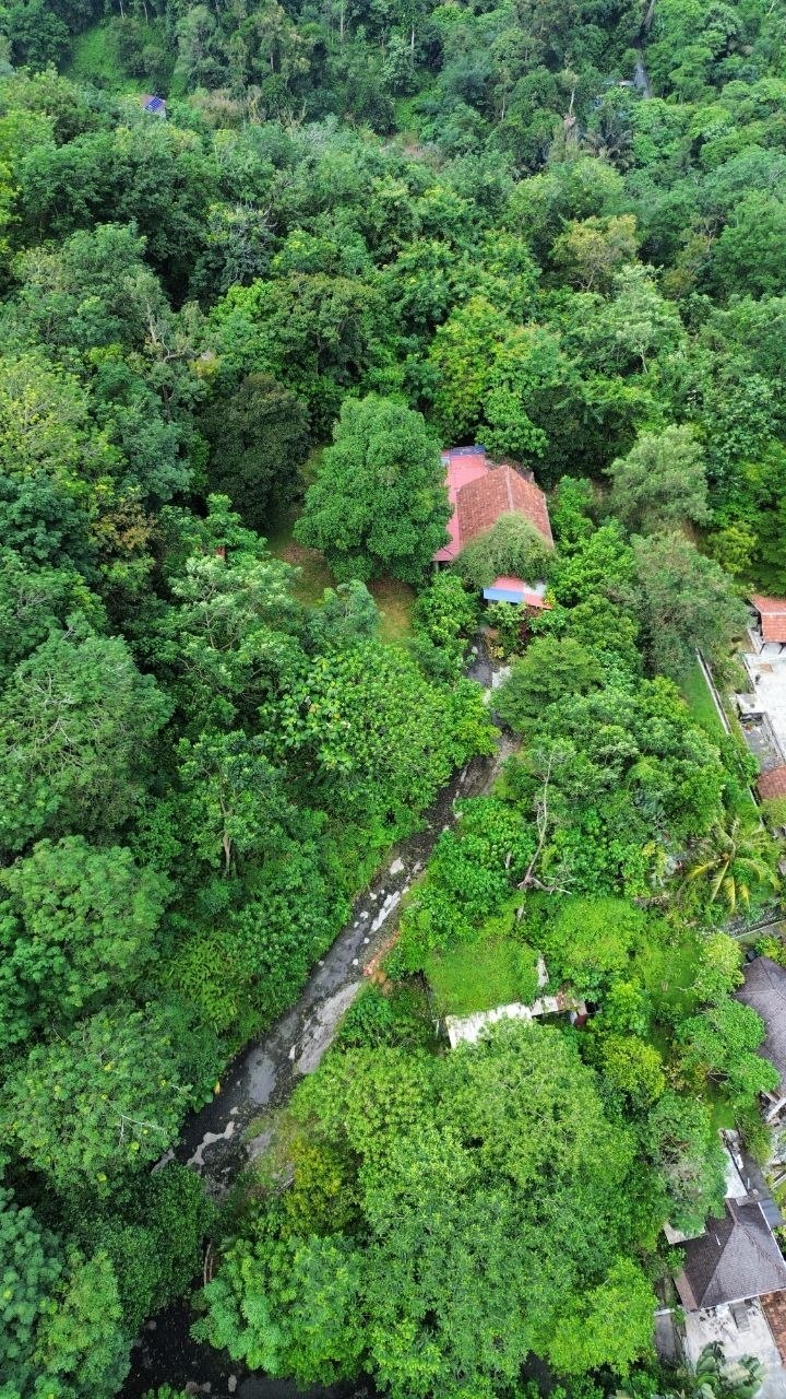 Tanah untuk dijual Area Belakang Damansara Utama, Kuala Lumpur - Image 3