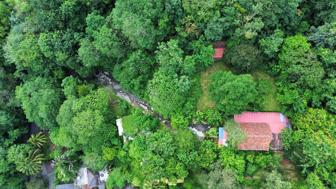 Tanah untuk dijual Area Belakang Damansara Utama, Kuala Lumpur - Image 2