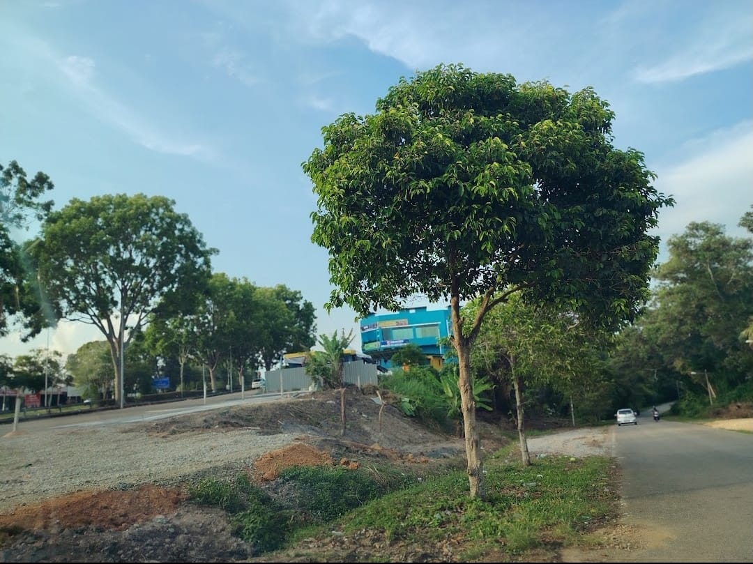 AMJ Mainroad Commercial/Workshop land for Rent - Image 4