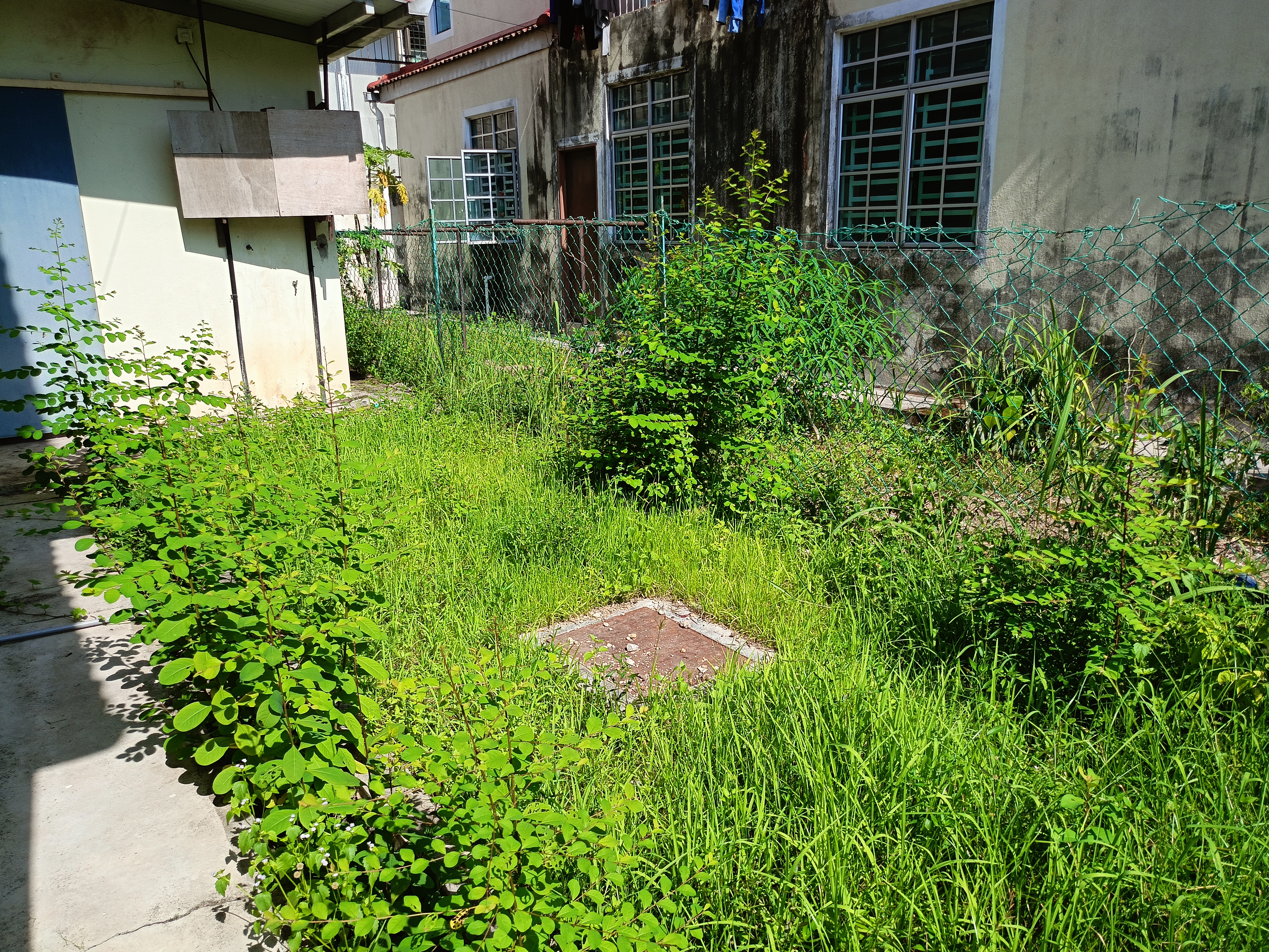 2 storey Semi Detached House at Lorong Kekabu Permatang Damar Laut, Batu Maung Penang  - Image 4