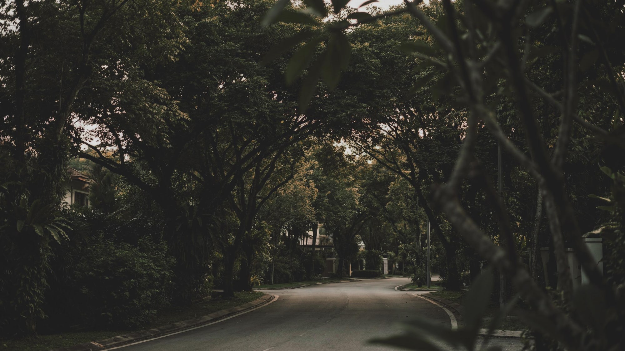 Taman Desa's quiet, tree-lined streets